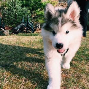 Meet your Posher, Austin